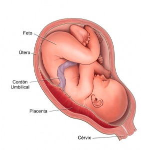 desprendimiento-de-placenta